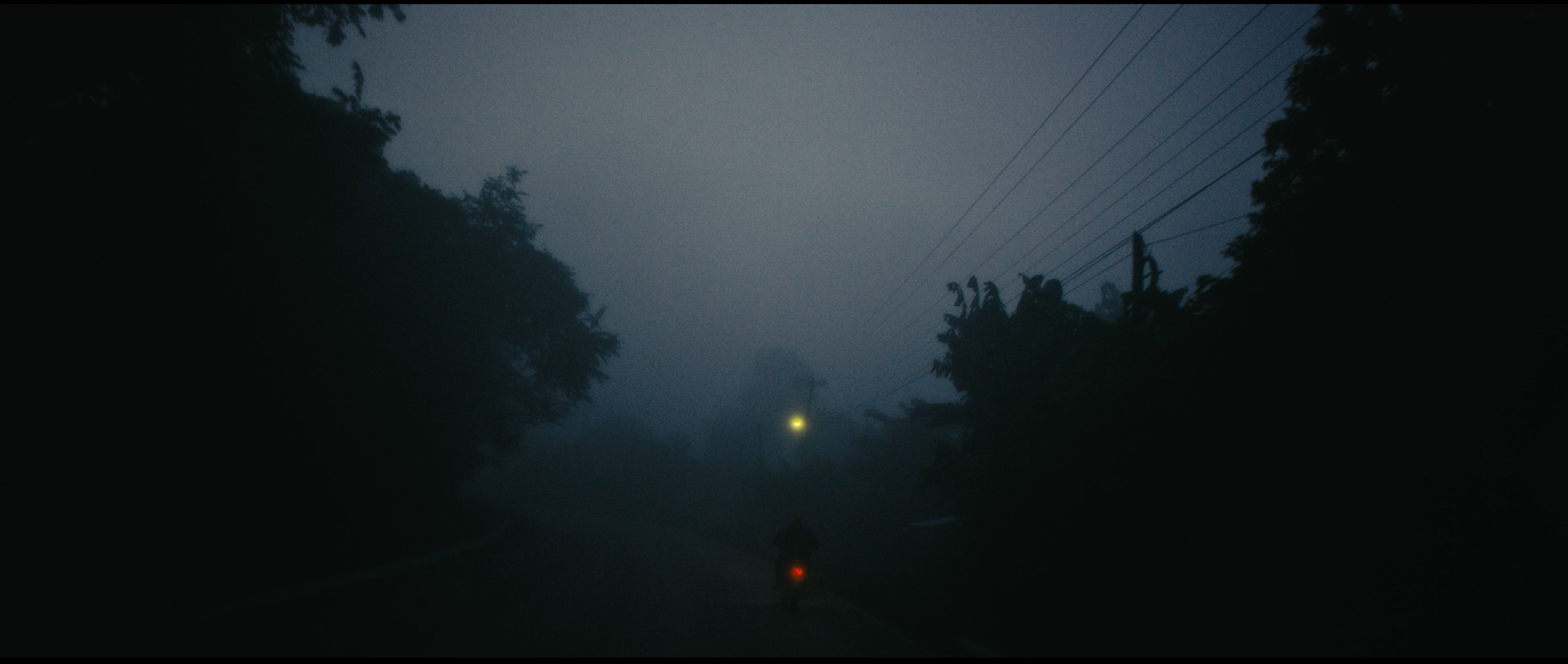 Ernesto Abrego - BINEM