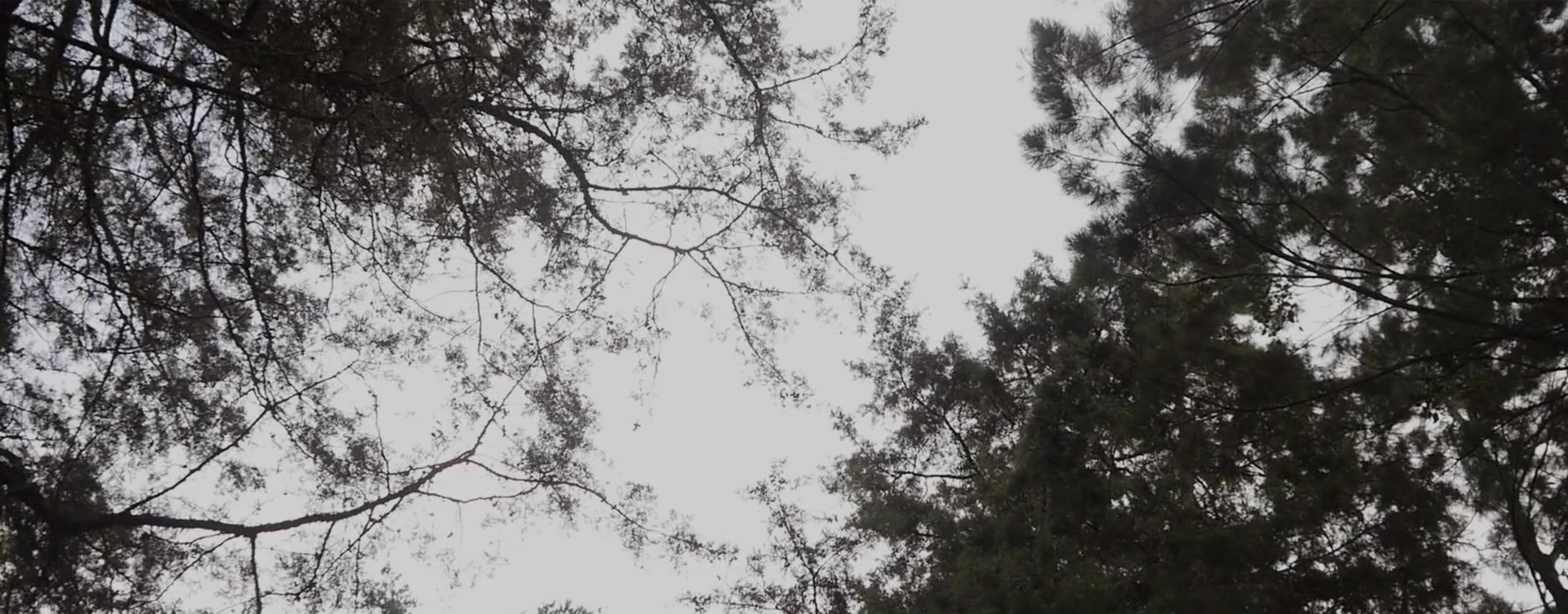 Ernesto Abrego - Light