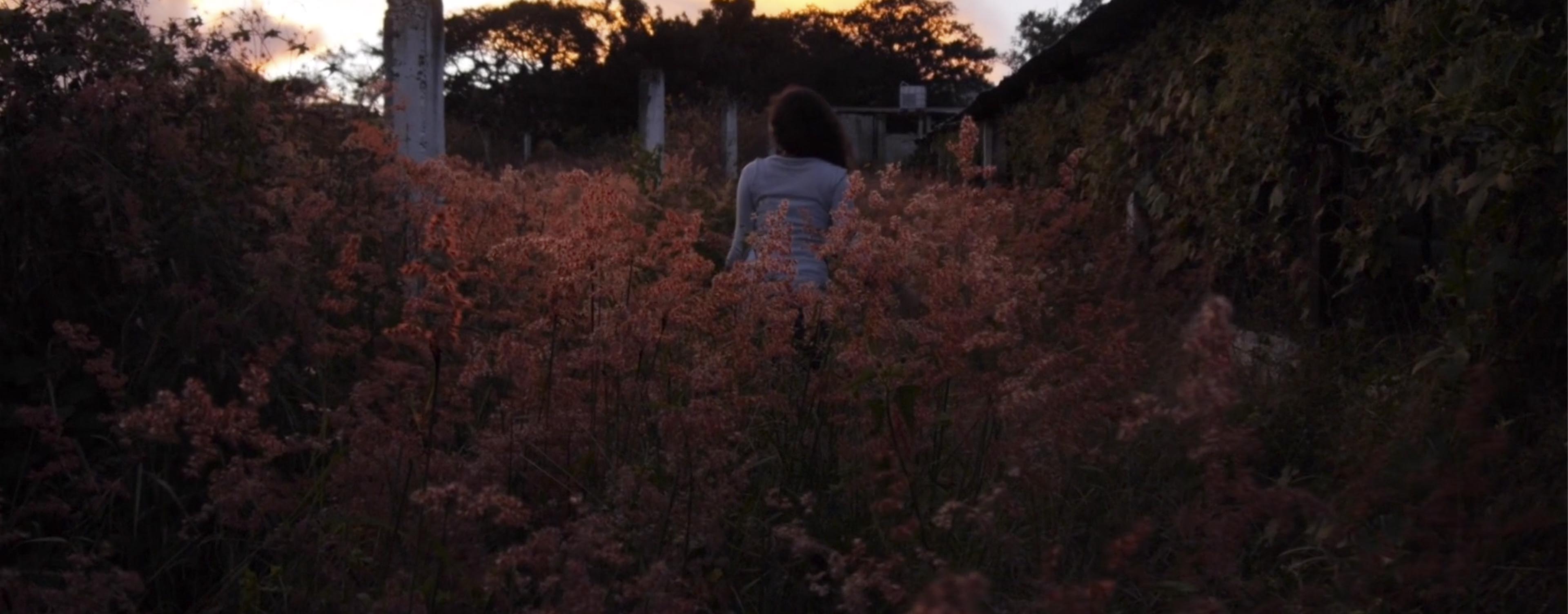 Ernesto Abrego - Light