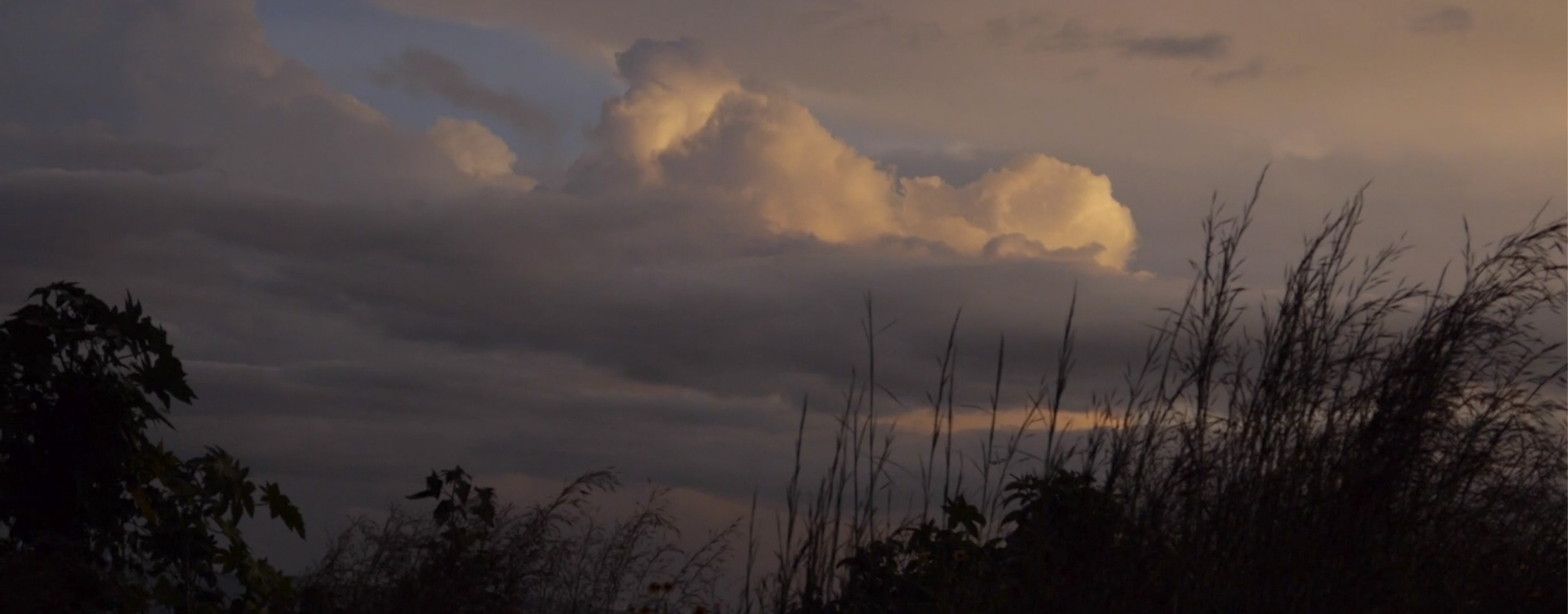 Ernesto Abrego - Light